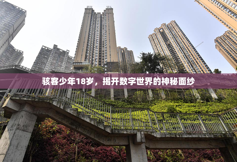 骇客少年18岁，揭开数字世界的神秘面纱
