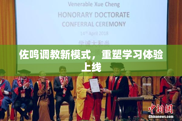 佐鸣调教新模式，重塑学习体验上线