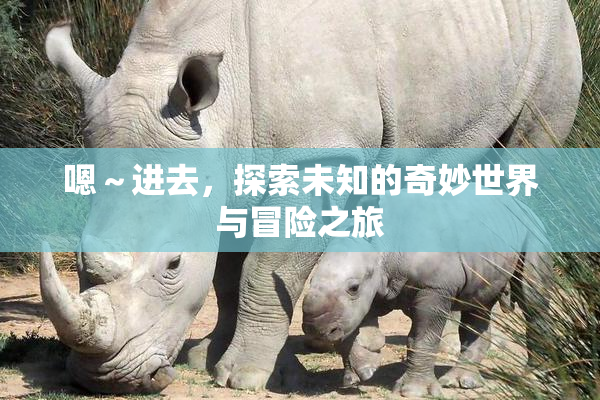 嗯～进去，探索未知的奇妙世界与冒险之旅