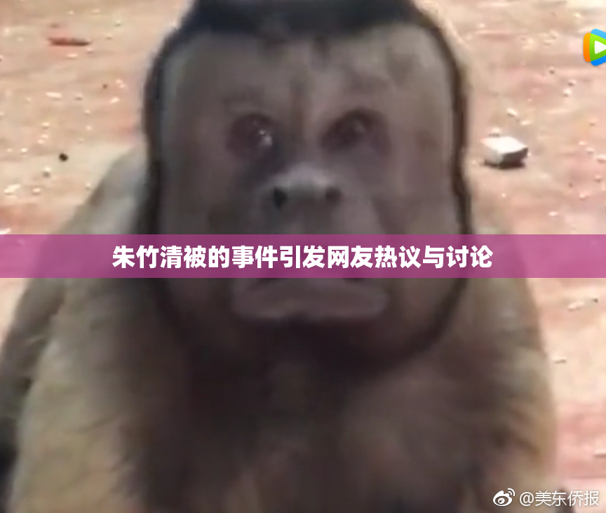 朱竹清被的事件引发网友热议与讨论
