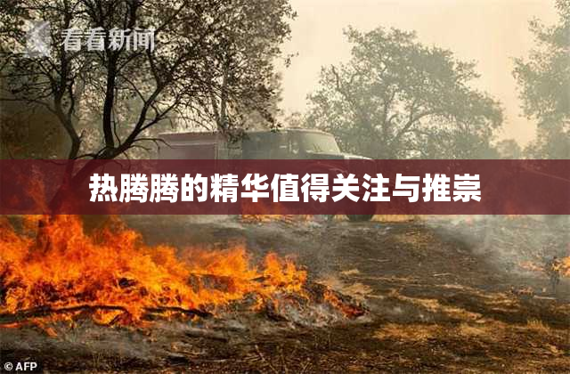 热腾腾的精华值得关注与推崇