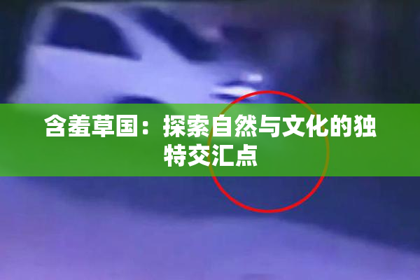 含羞草国：探索自然与文化的独特交汇点