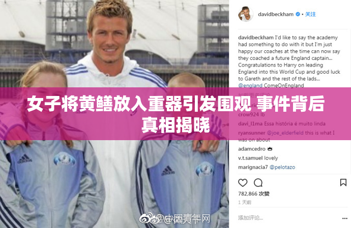 女子将黄鳝放入重器引发围观 事件背后真相揭晓