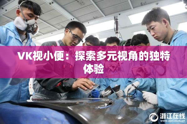 VK视小便：探索多元视角的独特体验
