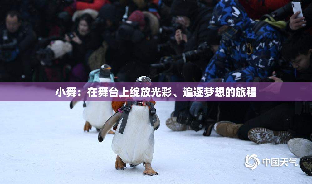 小舞：在舞台上绽放光彩、追逐梦想的旅程