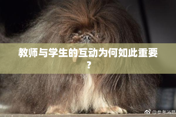 教师与学生的互动为何如此重要？