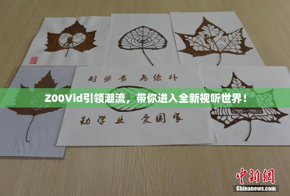 Z00Vid引领潮流，带你进入全新视听世界！