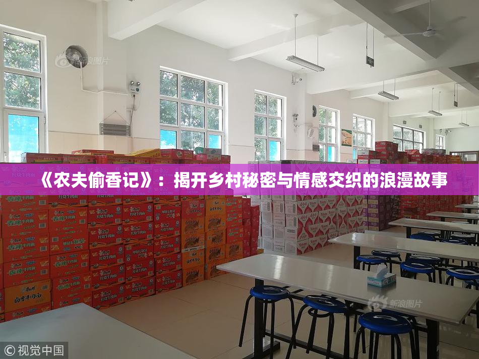 《农夫偷香记》：揭开乡村秘密与情感交织的浪漫故事