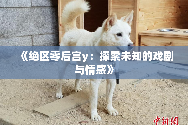 《绝区零后宫y：探索未知的戏剧与情感》