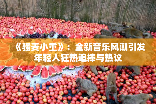 《骚麦小重》：全新音乐风潮引发年轻人狂热追捧与热议