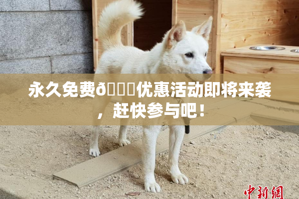 永久免费🔞优惠活动即将来袭，赶快参与吧！