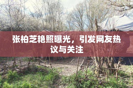 张柏芝艳照曝光，引发网友热议与关注