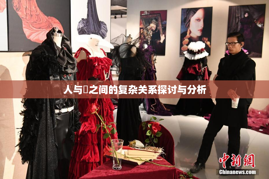 人与嘼之间的复杂关系探讨与分析