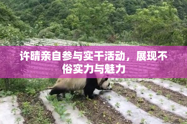 许晴亲自参与实干活动，展现不俗实力与魅力