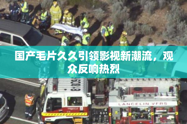 国产毛片久久引领影视新潮流，观众反响热烈