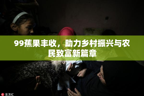 99蕉果丰收，助力乡村振兴与农民致富新篇章
