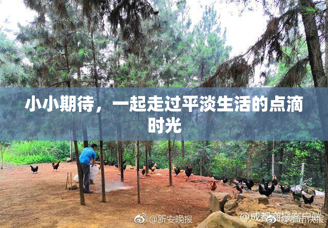 小小期待，一起走过平淡生活的点滴时光
