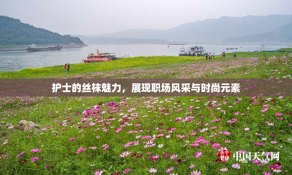 护士的丝袜魅力，展现职场风采与时尚元素