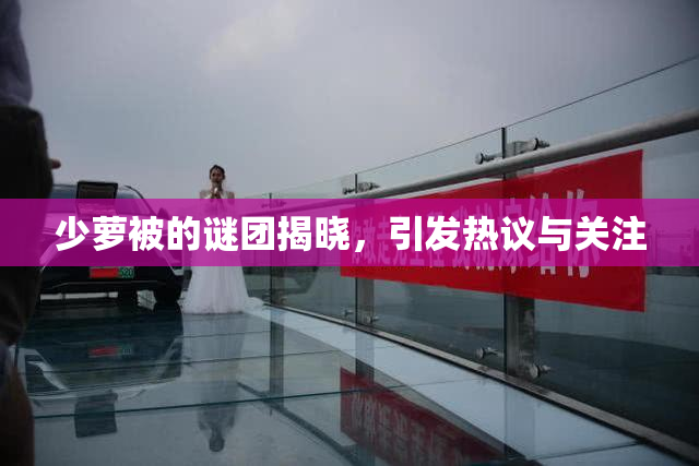 少萝被的谜团揭晓，引发热议与关注