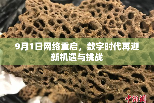 9月1日网络重启，数字时代再迎新机遇与挑战