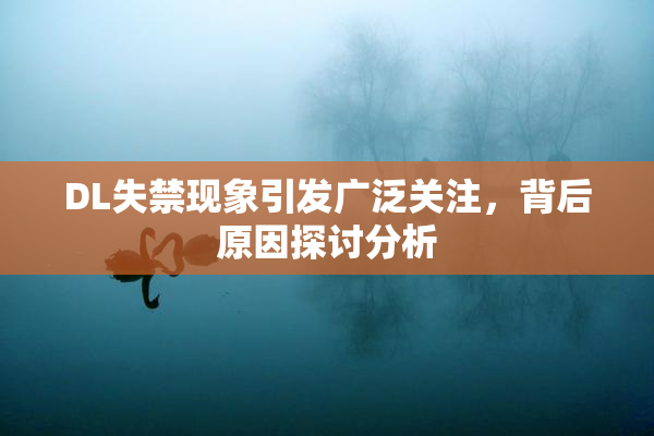 DL失禁现象引发广泛关注，背后原因探讨分析