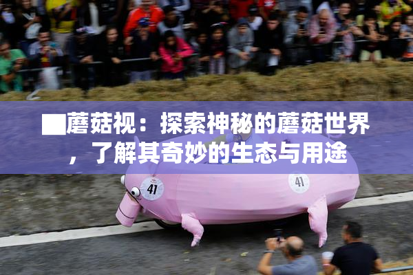 ▇蘑菇视：探索神秘的蘑菇世界，了解其奇妙的生态与用途