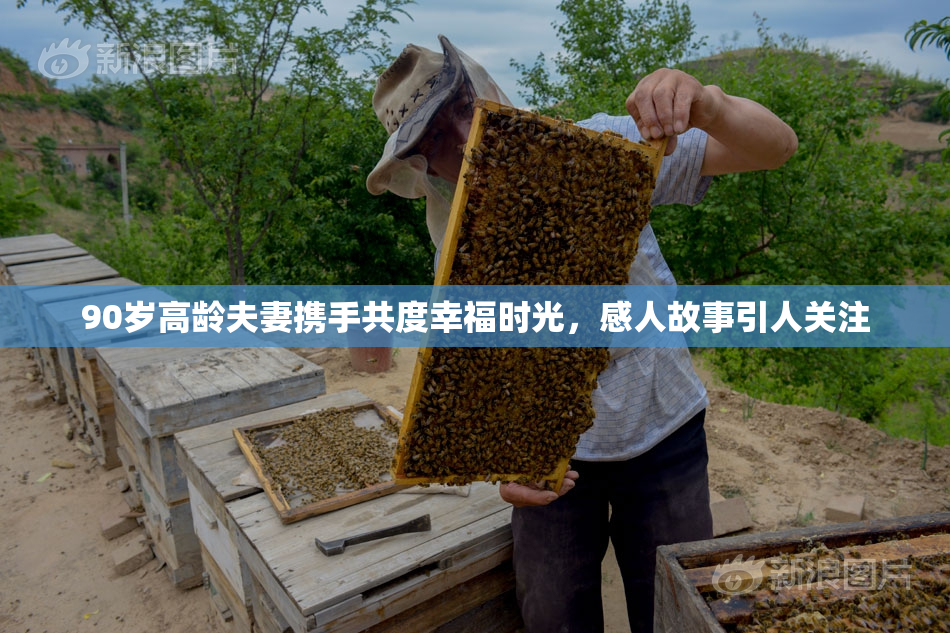 90岁高龄夫妻携手共度幸福时光，感人故事引人关注