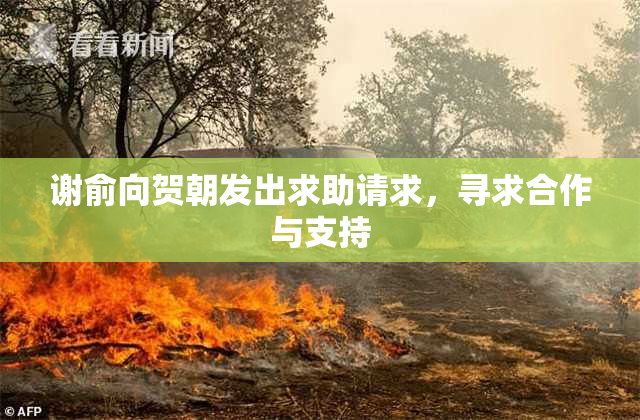 谢俞向贺朝发出求助请求，寻求合作与支持
