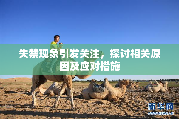 失禁现象引发关注，探讨相关原因及应对措施