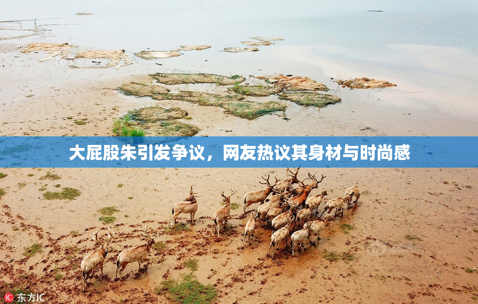 大屁股朱引发争议，网友热议其身材与时尚感