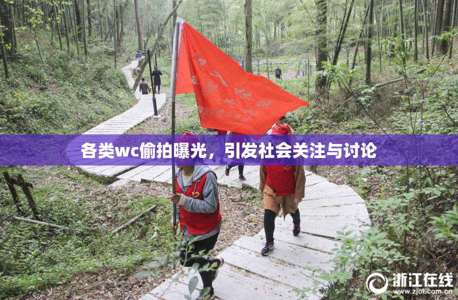 各类wc偷拍曝光，引发社会关注与讨论