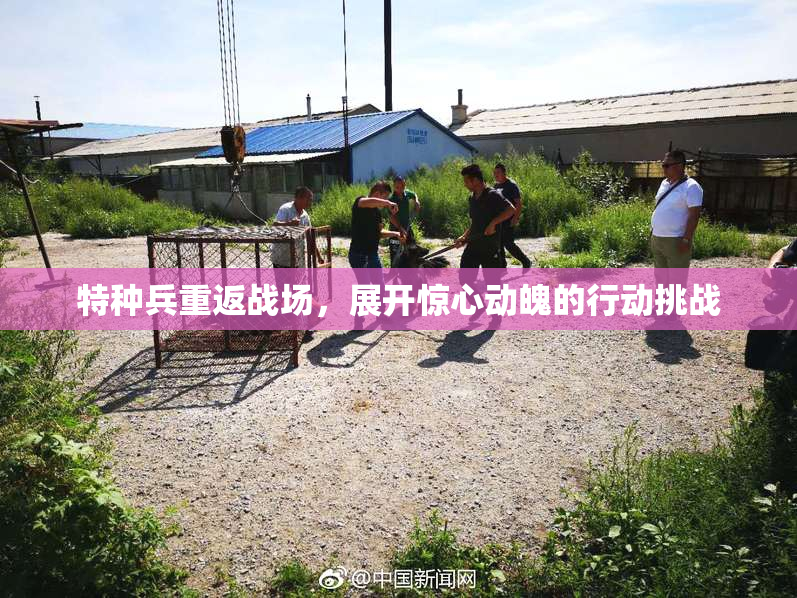 特种兵重返战场，展开惊心动魄的行动挑战