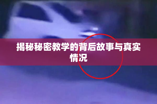 揭秘秘密教学的背后故事与真实情况