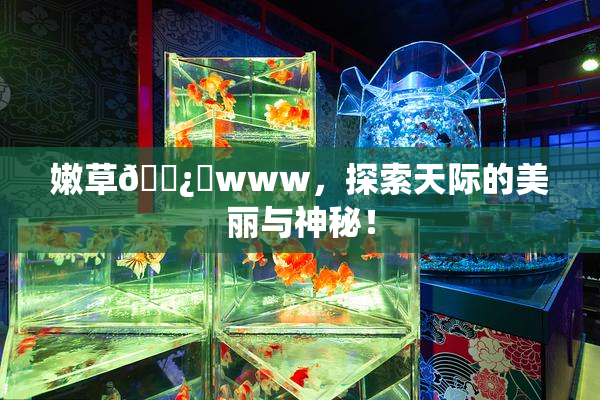 嫩草🌿‌www，探索天际的美丽与神秘！