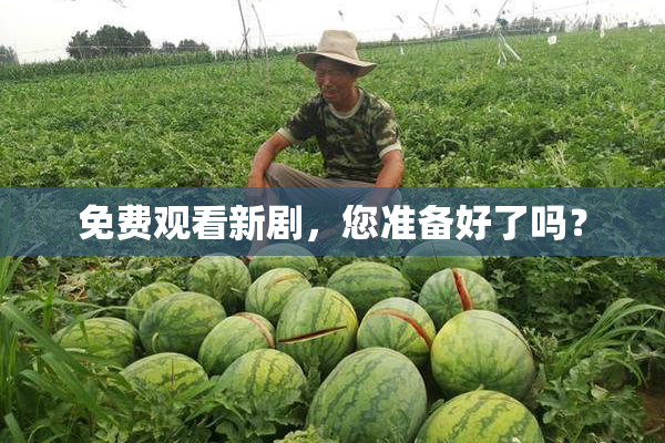 免费观看新剧，您准备好了吗？