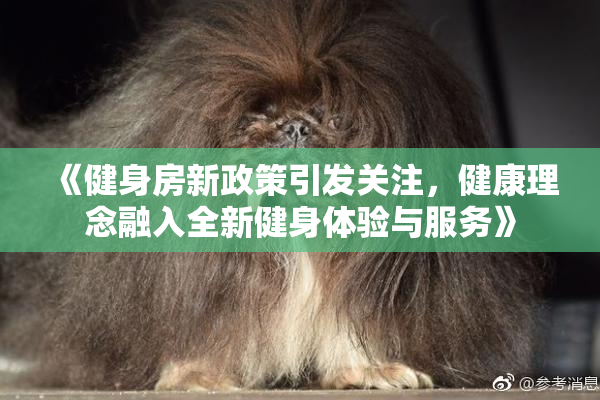 《健身房新政策引发关注，健康理念融入全新健身体验与服务》
