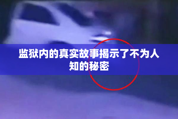 监狱内的真实故事揭示了不为人知的秘密