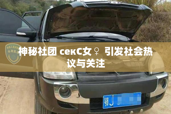 神秘社团 секС女♀ 引发社会热议与关注