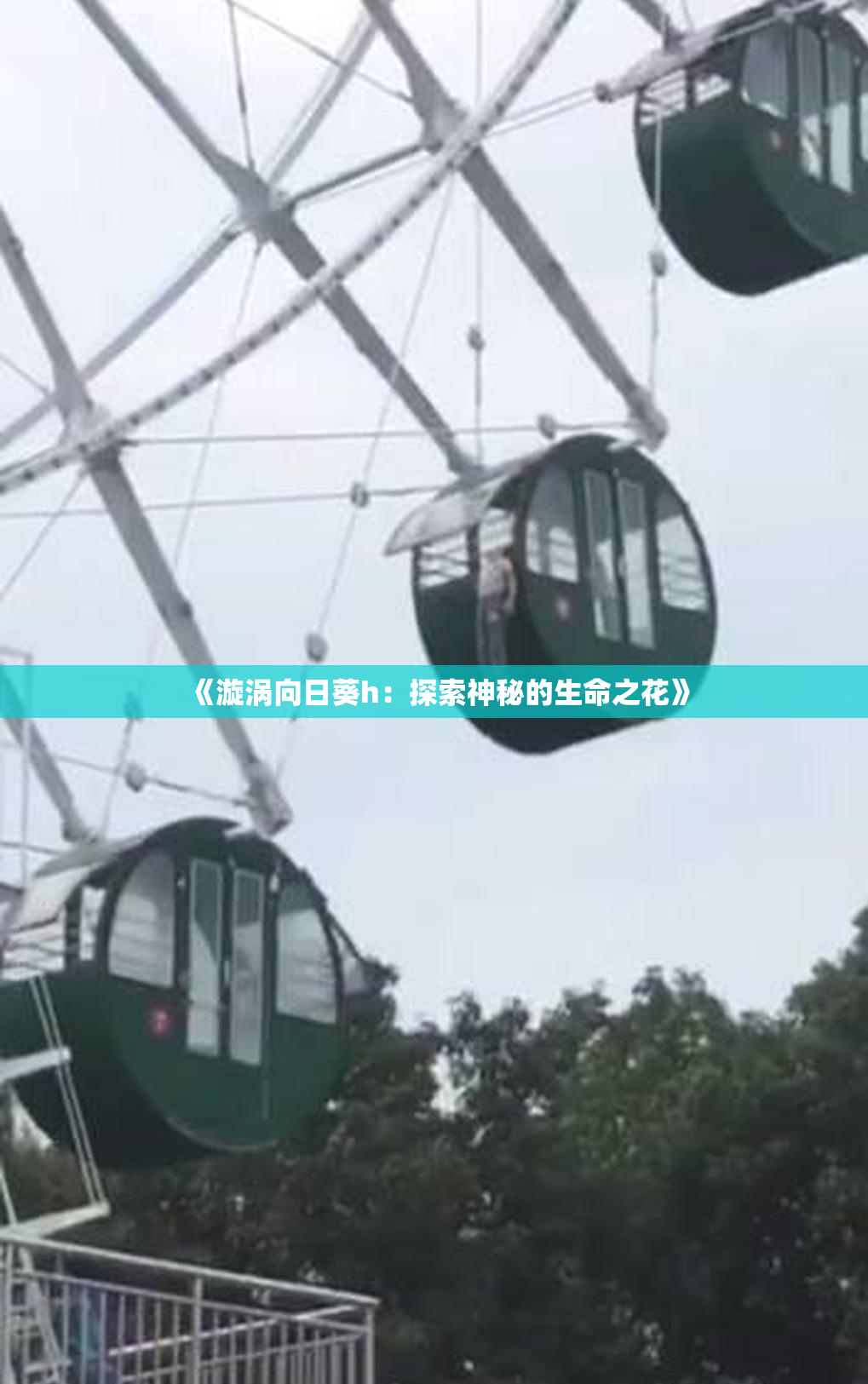 《漩涡向日葵h：探索神秘的生命之花》