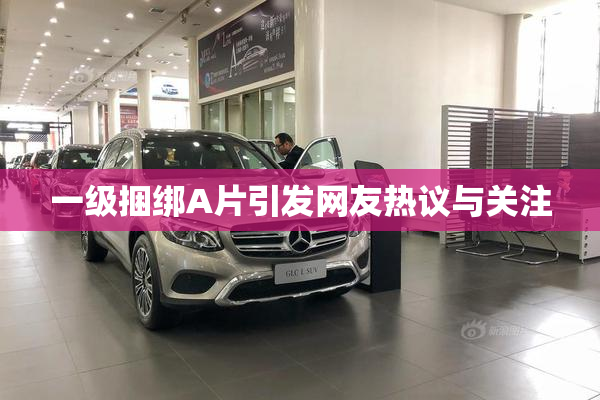 一级捆绑A片引发网友热议与关注