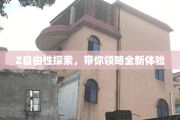 Z自由性探索，带你领略全新体验