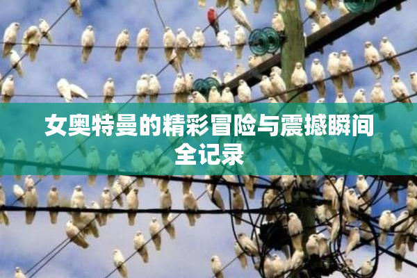 女奥特曼的精彩冒险与震撼瞬间全记录
