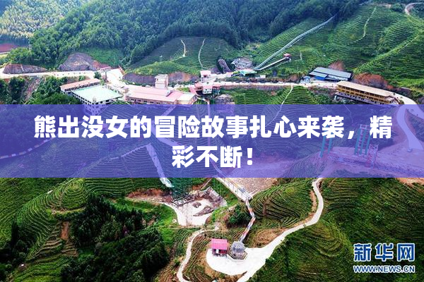 熊出没女的冒险故事扎心来袭，精彩不断！