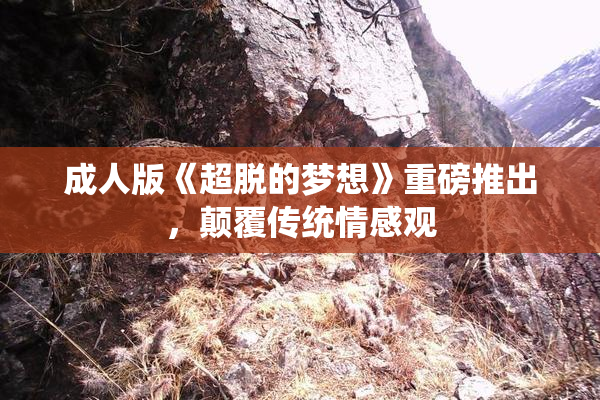 成人版《超脱的梦想》重磅推出，颠覆传统情感观