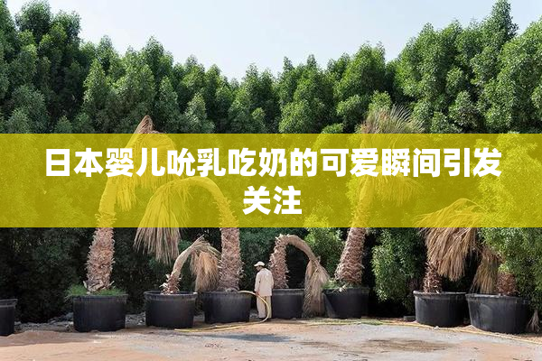 日本婴儿吮乳吃奶的可爱瞬间引发关注