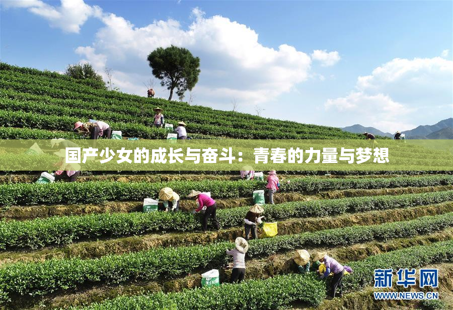 国产少女的成长与奋斗：青春的力量与梦想
