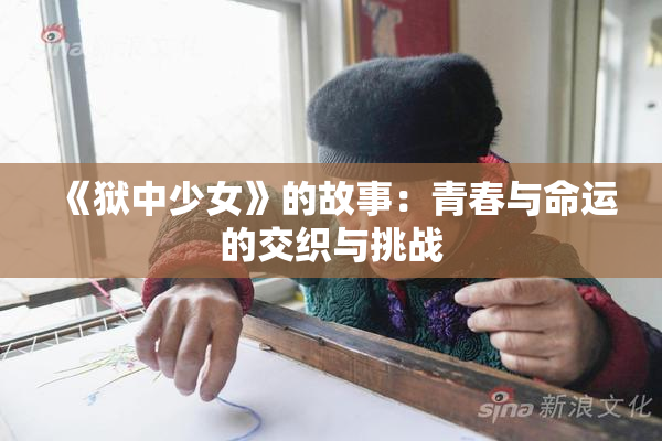 《狱中少女》的故事：青春与命运的交织与挑战