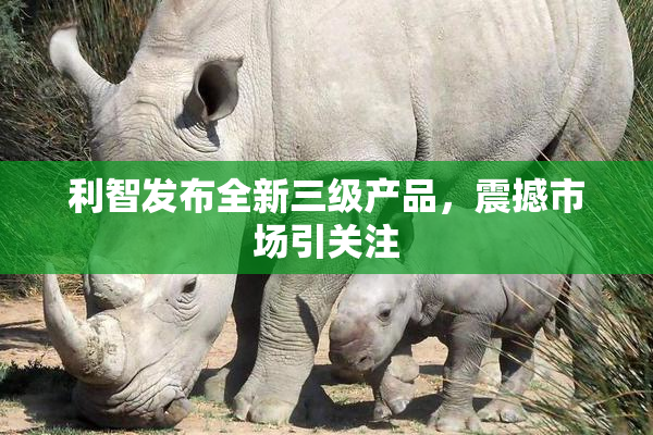 利智发布全新三级产品，震撼市场引关注