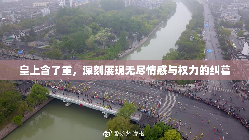 皇上含了重，深刻展现无尽情感与权力的纠葛