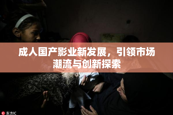 成人国产影业新发展，引领市场潮流与创新探索